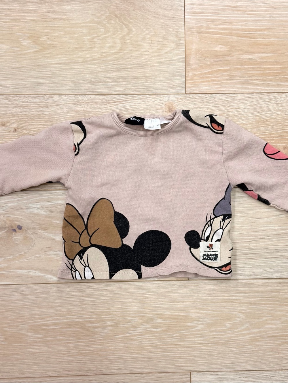 Disney Minnie & Friends Blush Pink Graphic Sweatshirt